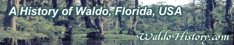 A History of Waldo, Florida, USA