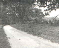 Old Belamy Road